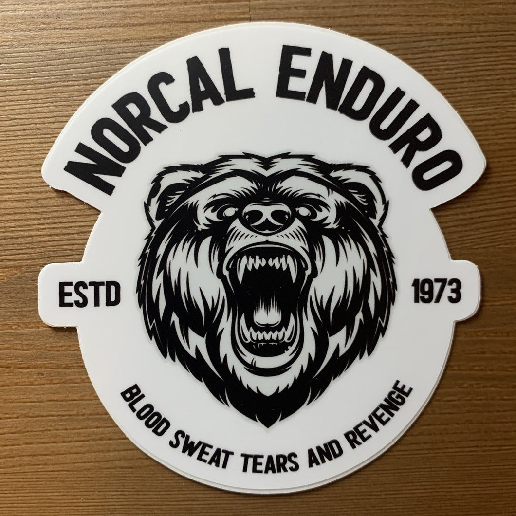 NorCal Enduro - Big Bear